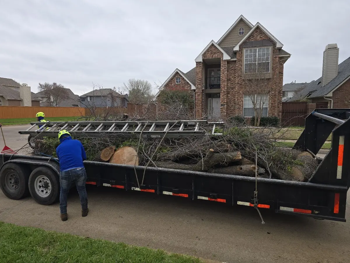 Expert Lot Clearing with proper safety equipment in Avoca
